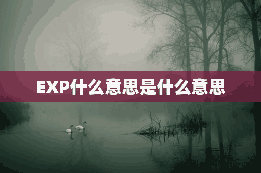 EXP什么意思是什么意思